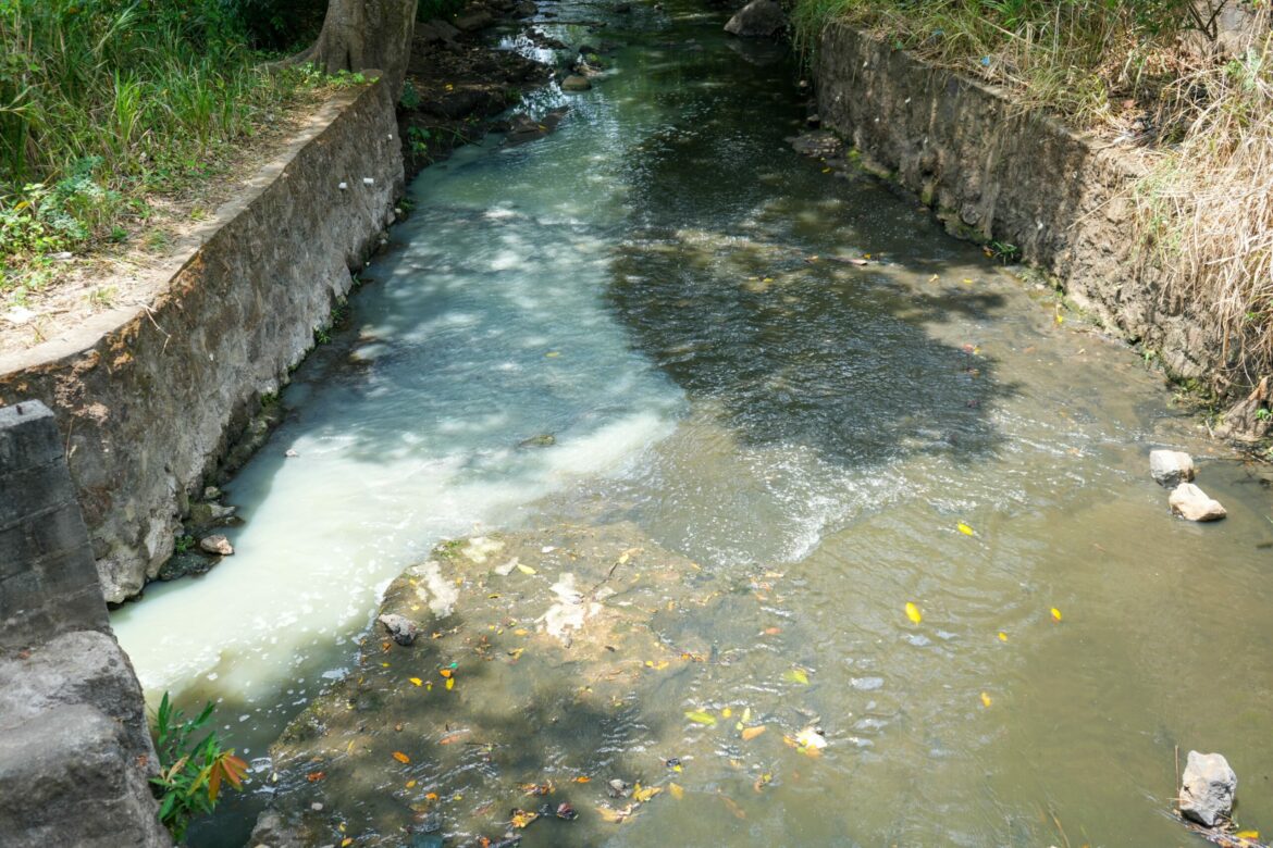 Tribunal impuso sanción de $365,000 a los responsables de la contaminación en el río Tres Ceibas