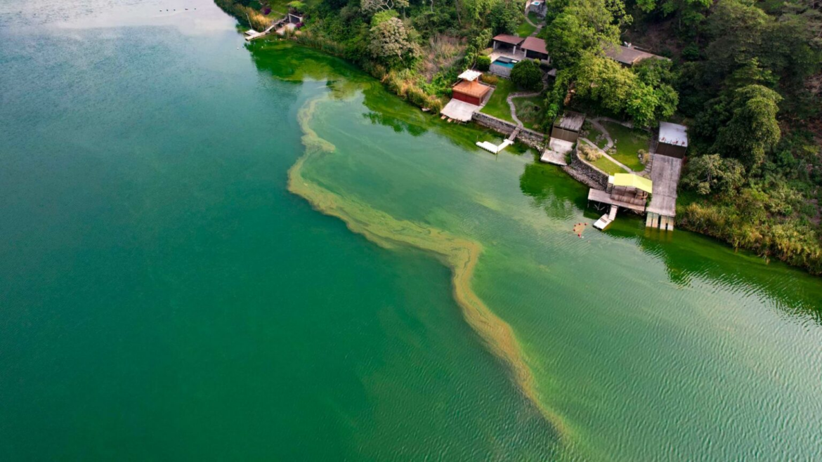 El uso de boyas ultrasónicas en Lago de Coatepeque permitirá controlar la aparición de cianobacterias, asegura presidente de la ASA
