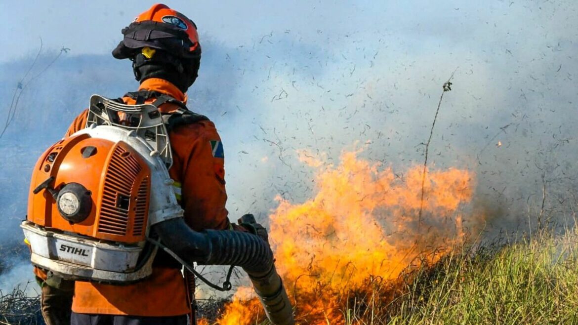 Incendios ponen en alerta máxima 30 ciudades del sureste de Brasil