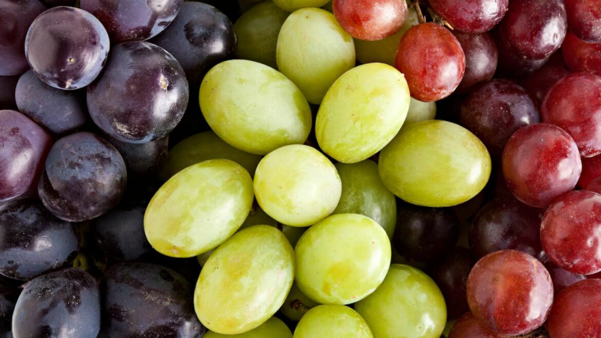 Las uvas, la fruta que ayuda a mantener tu cerebro saludable