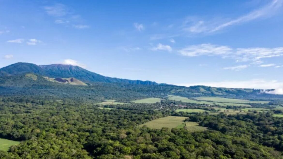 La temperatura descendió hasta los 13.1ºC en Finca Los Andes, Santa Ana