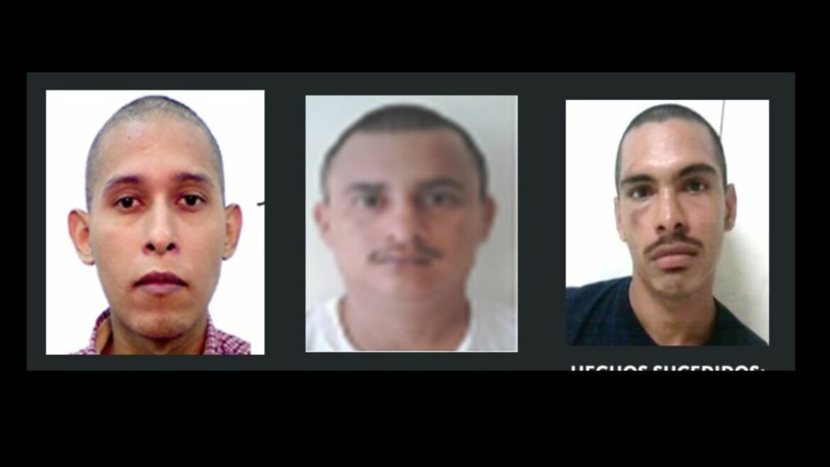 Pandilleros pasarán hasta 384 años en prisión por delitos de extorsión agravada y conspiración en homicidio