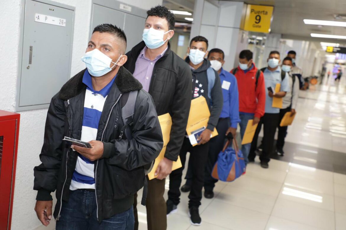 Mtro. Castro: «Esta semana anunciaremos la salida de un nuevo contingente de trabajadores con destino a Canadá»
