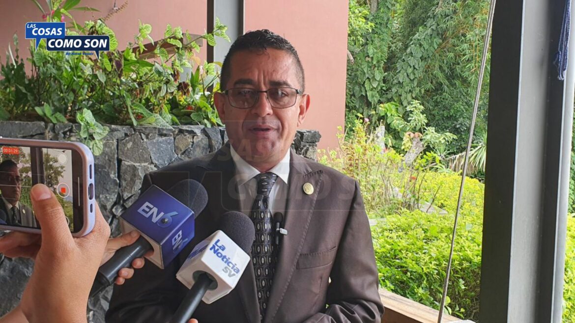 Dip. Cardoza respalda propuesta de Ciro Zepeda para que la dirección de la Junta de Vigilancia Electoral sea permanente