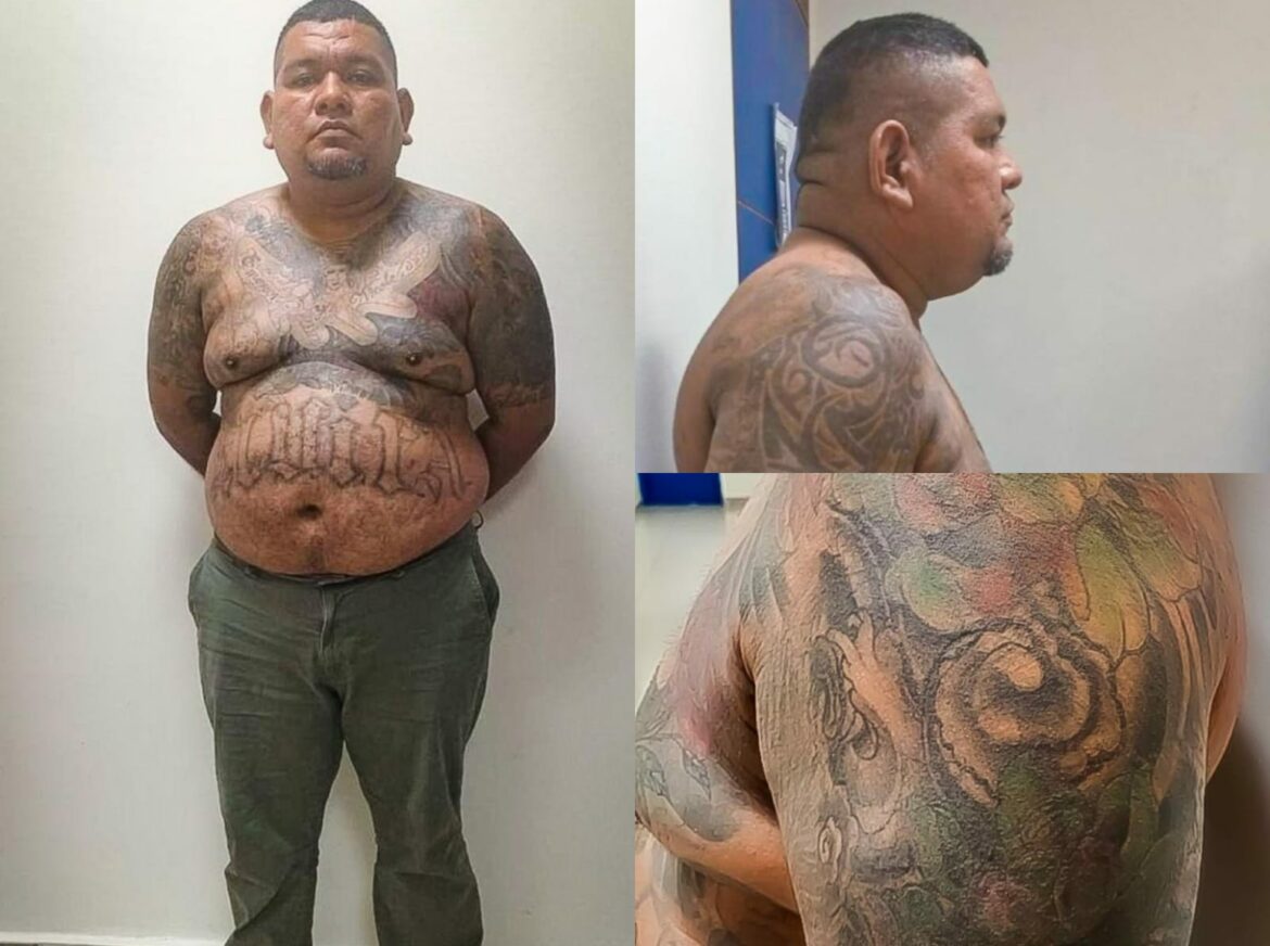 Capturan a homeboy de la 18S que se dedicaba a asaltar a la población en Zacatecoluca, La Paz