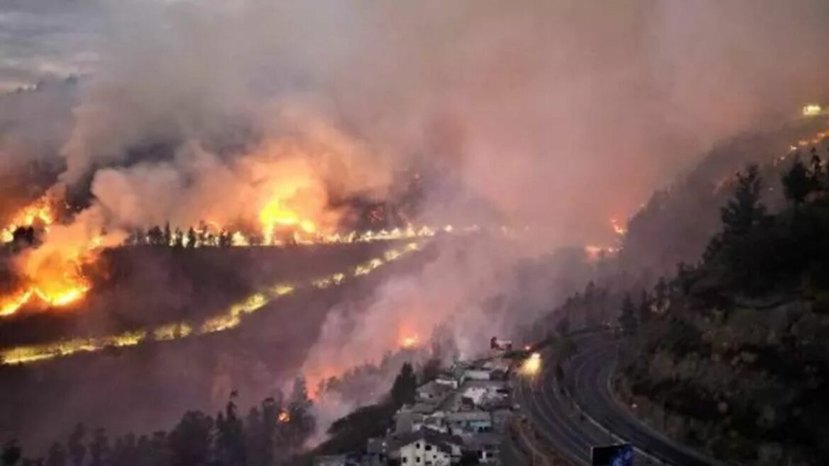 Quema de maleza destruye unos 30 vehículos en Ecuador, agobiado por incendios