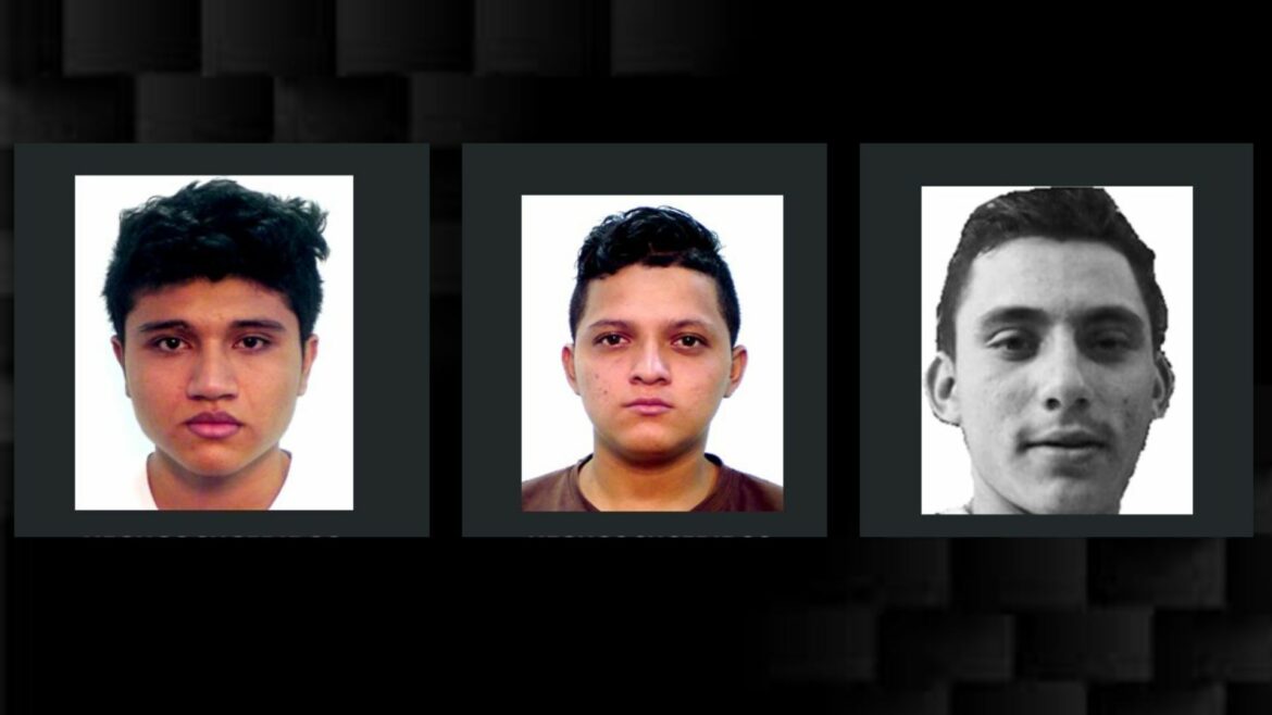 Condenas de más de 500 años para miembros de una banda criminal dedicada a robar al oriente del país