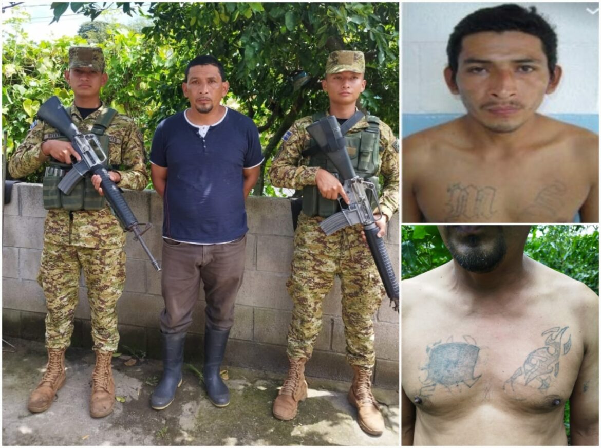 Fuerza Armada ubica a homeboy de la MS-13, quien trato de ocultar sus tatuajes pertenecientes a la pandilla