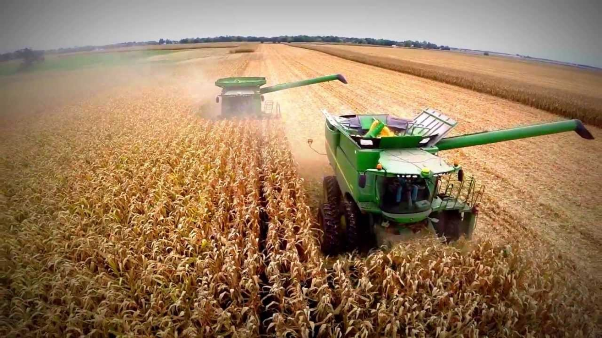 Mesa Agropecuaria propone crear programa de reversión de producción de granos básicos ante el cambio climático
