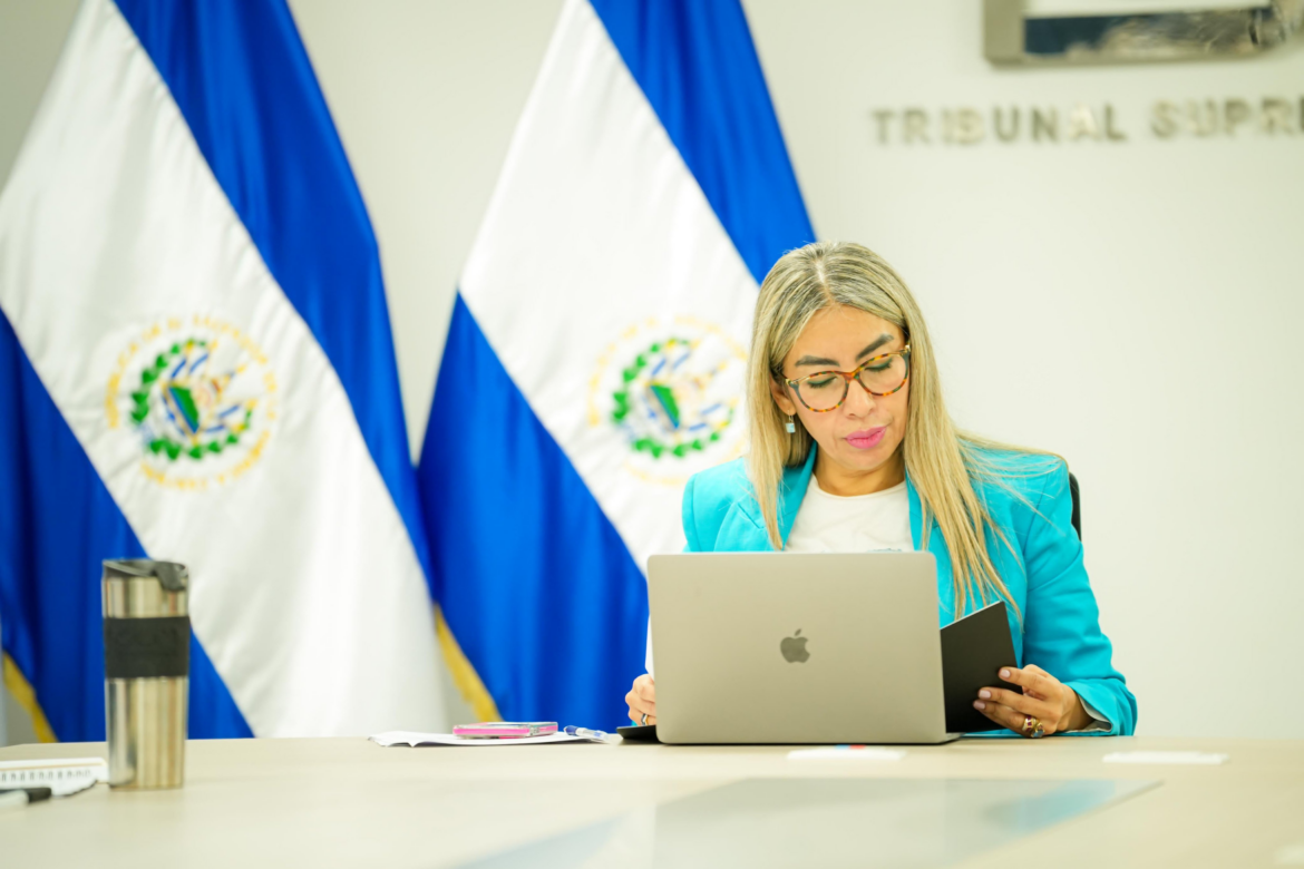 Estos son los retos de los nuevos magistrados del TSE de cara a las elecciones de 2027, según el director de ISD