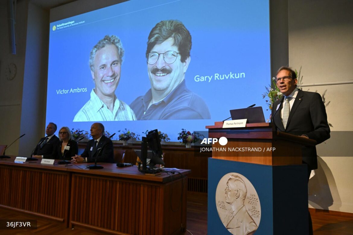 Dos estadounidenses ganan el Nobel de Medicina por los avances en la regulación de los genes