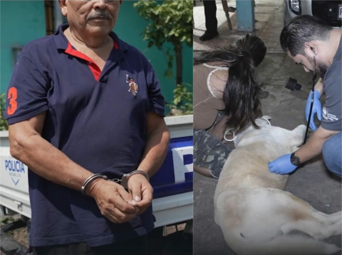 Sujeto que llevaba colgando un perro mientras conducía en plena carretera fue capturado por las autoridades