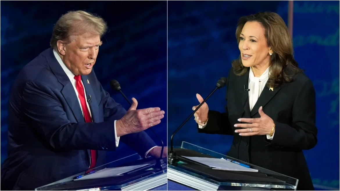¿Kamala Harris o Donald Trump? Esto dicen los salvadoreños