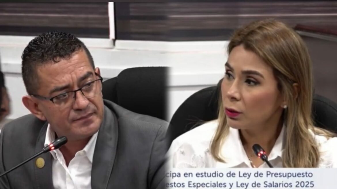 Discusión entre diputados Cardoza y Villatoro tras Comisión de Hacienda: «Mida sus propias palabras, usted es abogada»