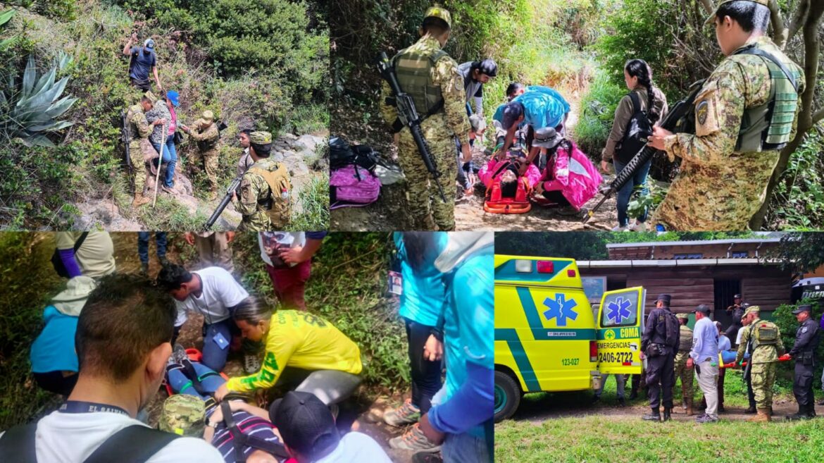 Autoridades evacuan a turistas del Cerro Verde tras sufrir picaduras de abejas