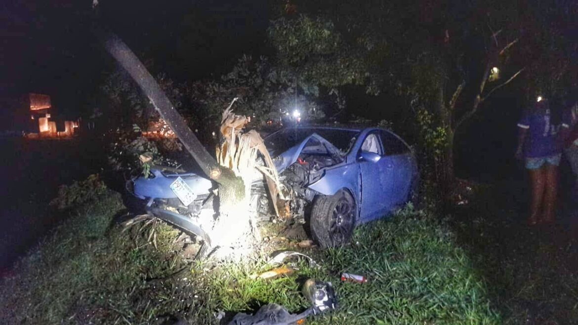 Choca contra un árbol en carretera Panamericana