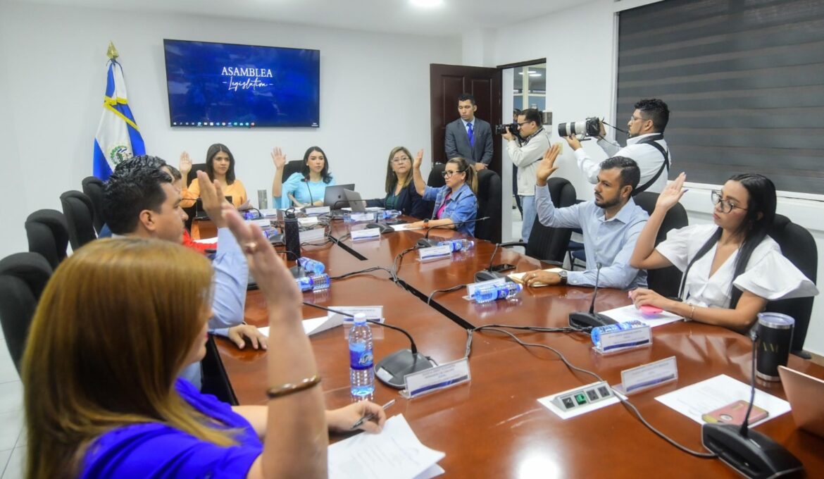 Diputados acuerdan citar al presidente de CEL y titular de la DGEHM en el marco del estudio del anteproyecto de Ley de Energía Nuclear