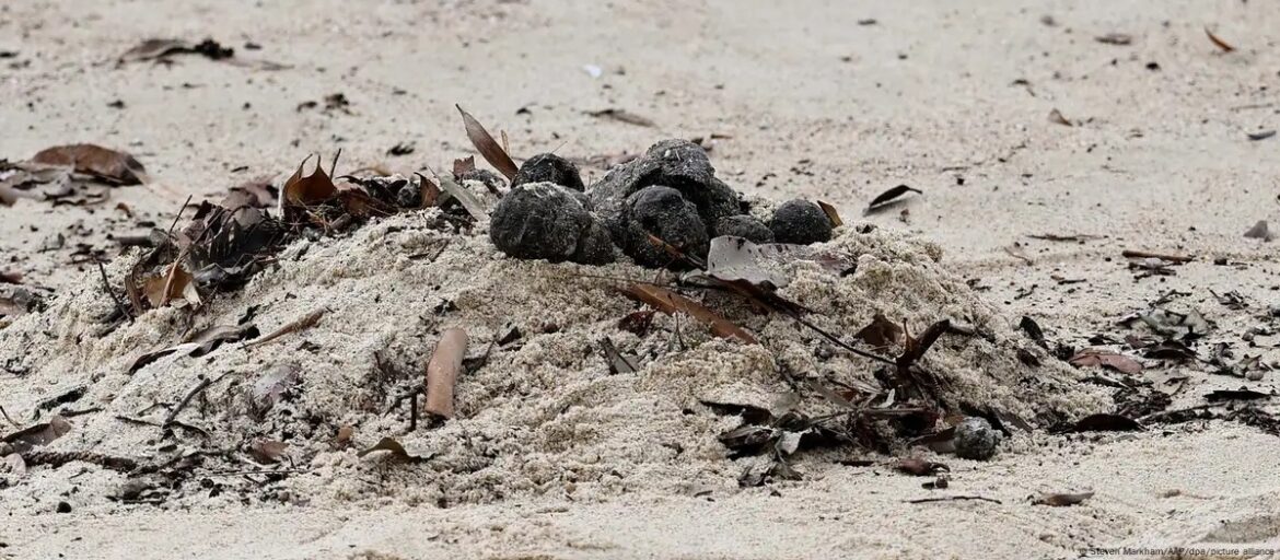 Cierran dos playas de Sídney por misteriosas bolas negras