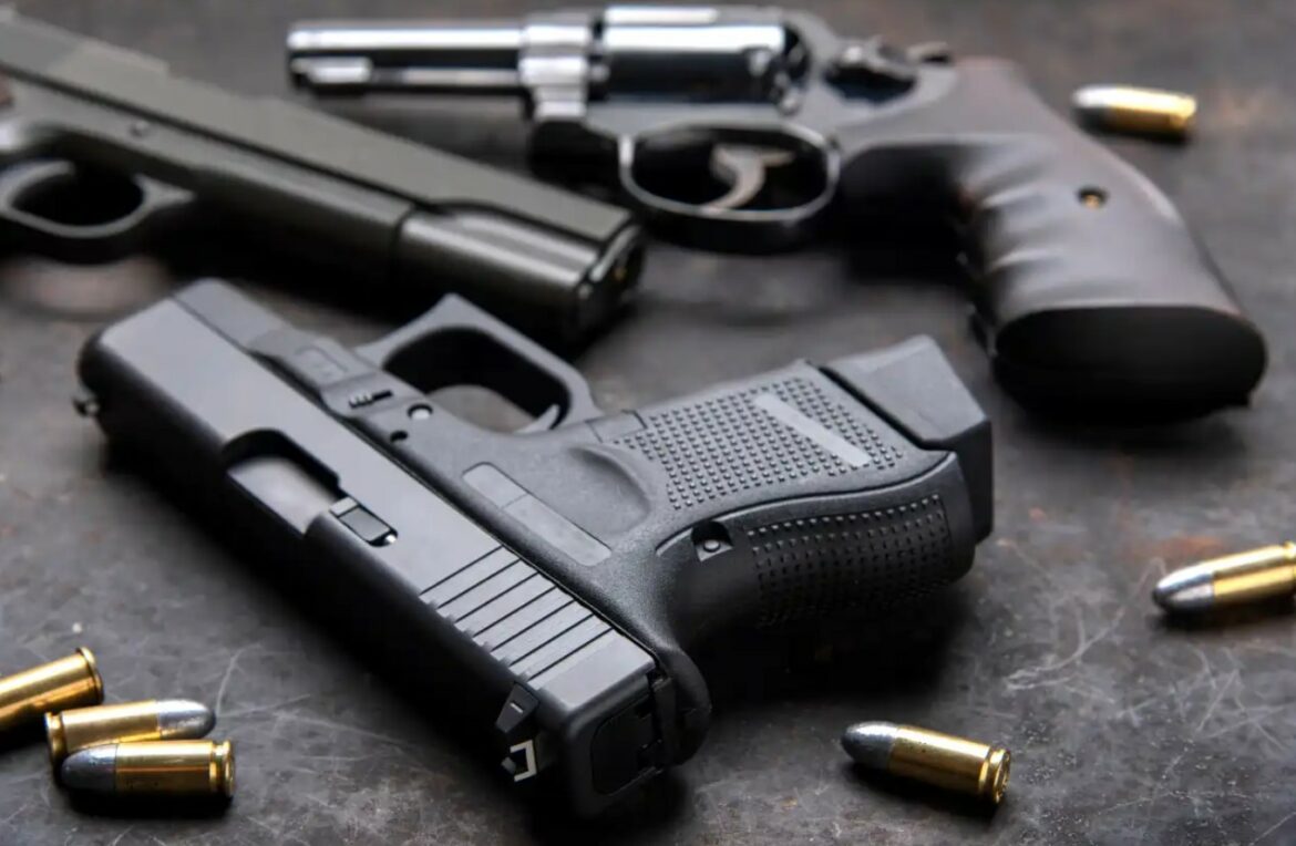 Órgano Legislativo aprueba Disposiciones Transitorias para la Legalización de Armas de Fuego