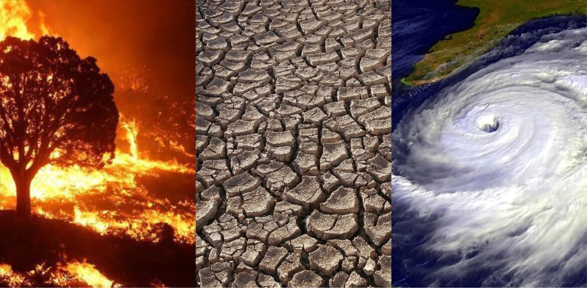El dinero público es esencial contra el cambio climático, afirma jefe de la agencia ONU para el clima