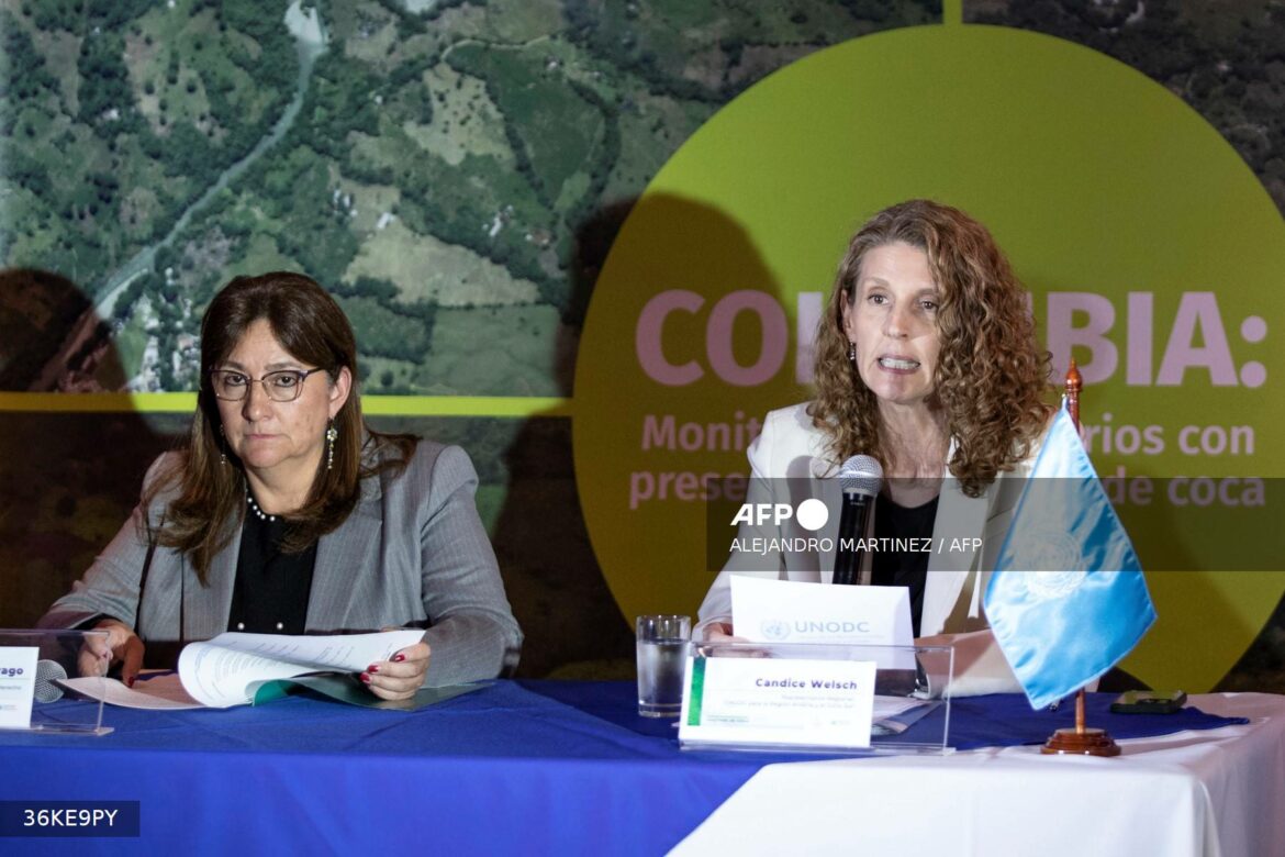 La producción de cocaína en Colombia se disparó un 53% en 2023 (UNODC)