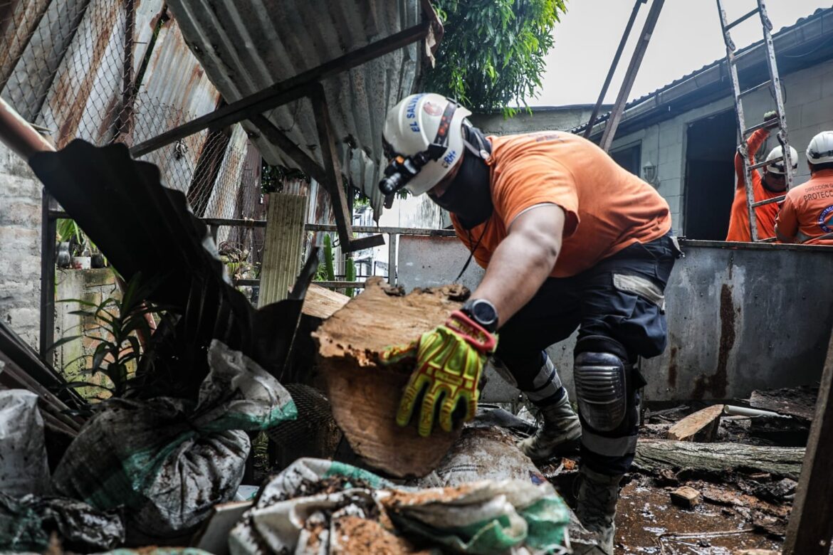 Árbol cayó, afectando vivienda de la colonia Cucumacayan
