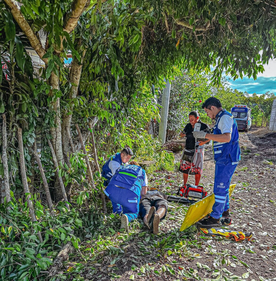 Joven de 25 años cayó de un árbol de tres metros de altura