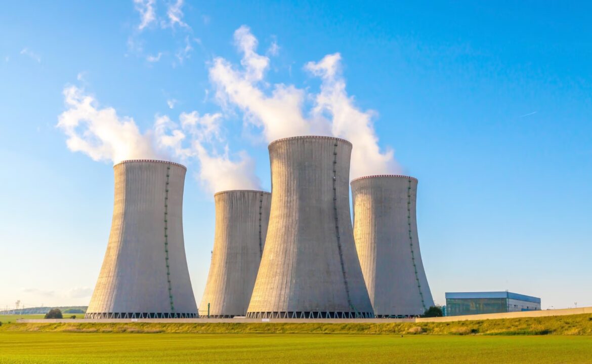 Daniel Álvarez: “Nosotros tenemos la posibilidad de generar energía con combustible nuclear»