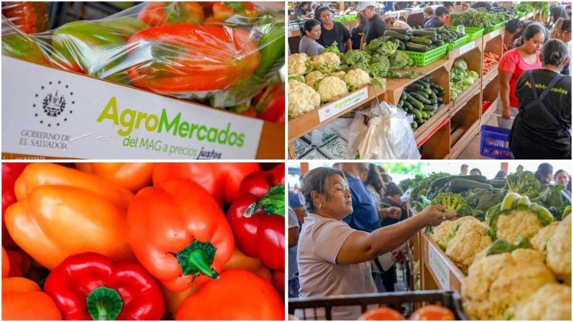 Economista Martínez reconoce que aún no hace uso de agromercados del Gobierno, porque prefiere ir a supermercados: «por mi nivel de ingresos» «conozco personas.. que dicen «uno se ahorra»