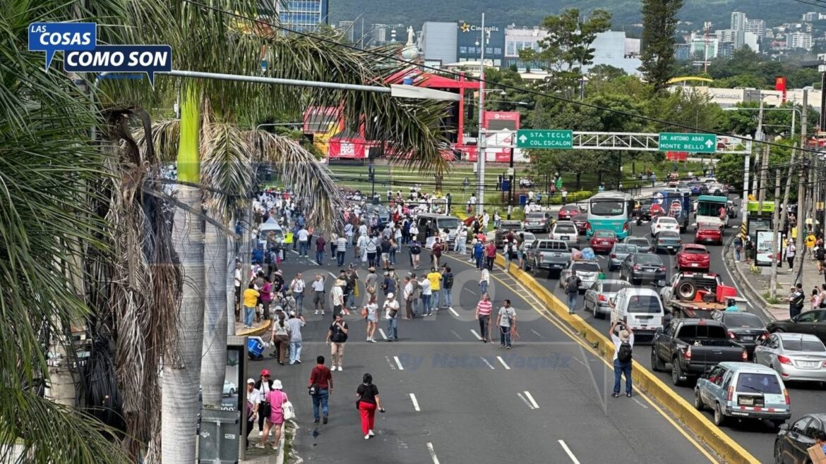 Idalia Zúniga del Frente Magisterial Salvadoreño anuncia SEGUNDA MARCHA para el 23 de noviembre