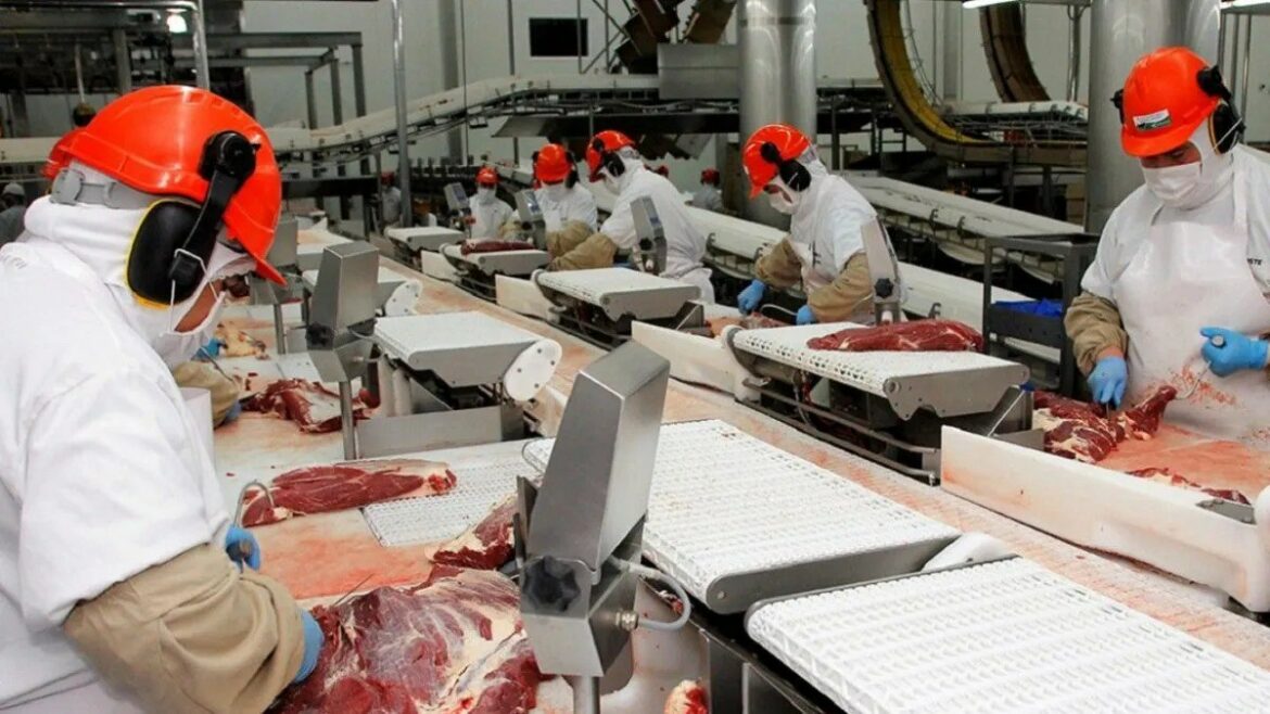 Argentina exportará carne a El Salvador por primera vez: «Bajarán los precios y mejorará la calidad», afirmó Bukele