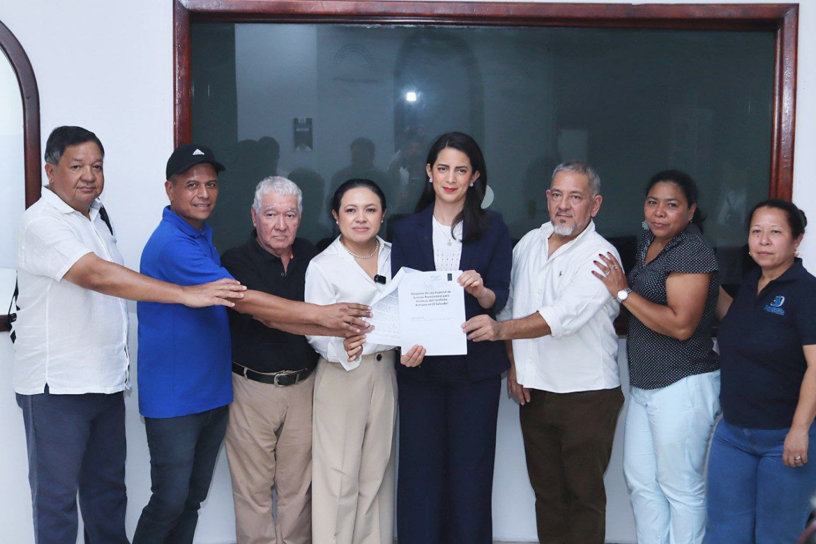 Dip. Ortiz y Mesa Contra la Impunidad presentan, por tercera vez, el proyecto de Ley Especial de Justicia Transicional