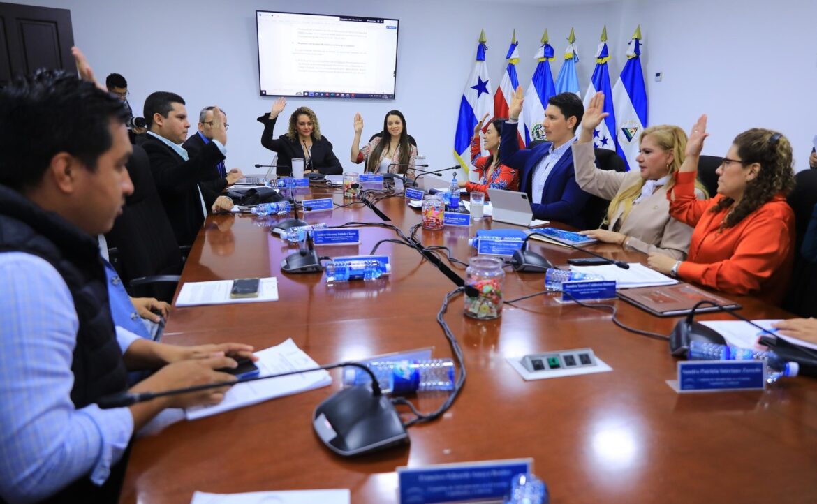 Emiten dictamen para Ratificar el Convenio sobre Cobro Internacional de Alimentos para los Niños y otros Miembros de la Familia