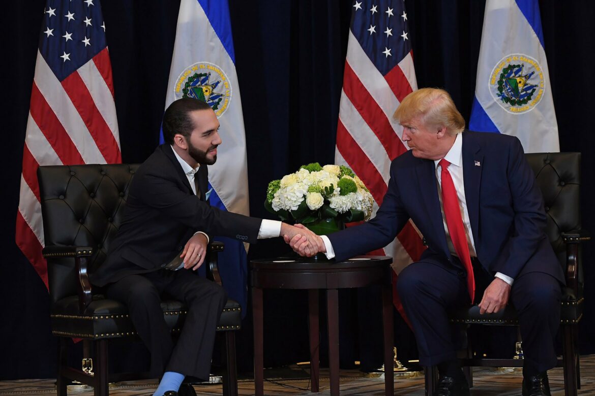 Nayib Bukele: «Felicitaciones al Presidente Electo de los Estados Unidos de América, Donald Trump»