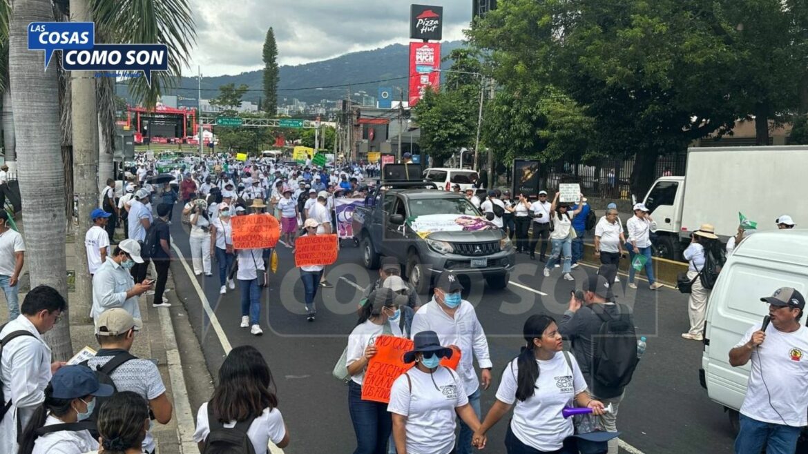 Dr. Solano asegura que personal de salud del sistema público no asistirá a la marcha blanca