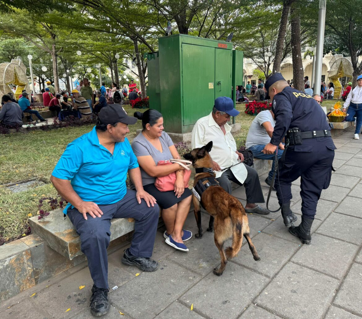 Nuevos K9 para la Unidad Canina de la División Antinarcóticos de la PNC