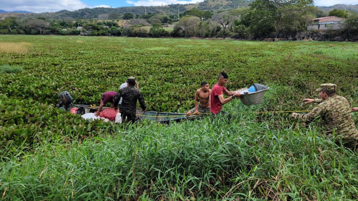 Rescatan a dos personas que quedaron atrapadas entre las ninfas de la laguna de Metapán