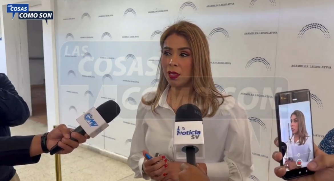 ARENA no acompañará aprobación del presupuesto general de la nación 2025