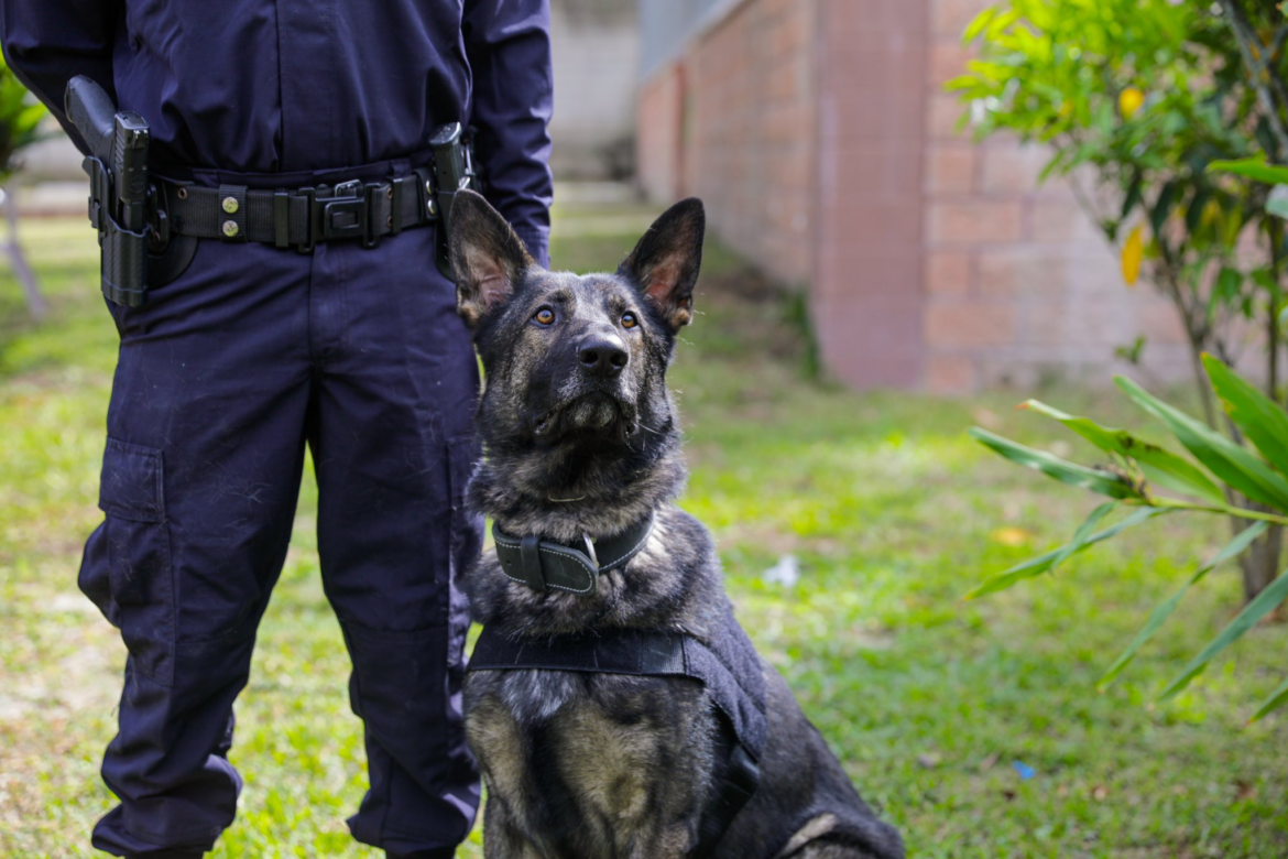 Agentes PNC de Guatemala se gradúan del primer curso internacional de Instructores Caninos en El Salvador
