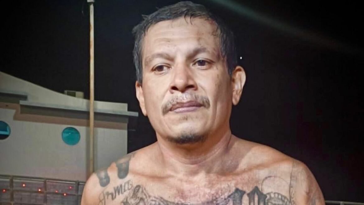 Marina Nacional ubica a un homeboy mientras transportaba «provisiones» en la isla La Tortuga