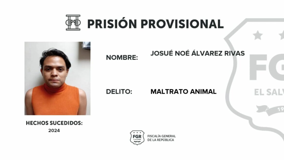 Prisión provisional para sujeto que ofrecía a su mascota para actos sexuales con humanos