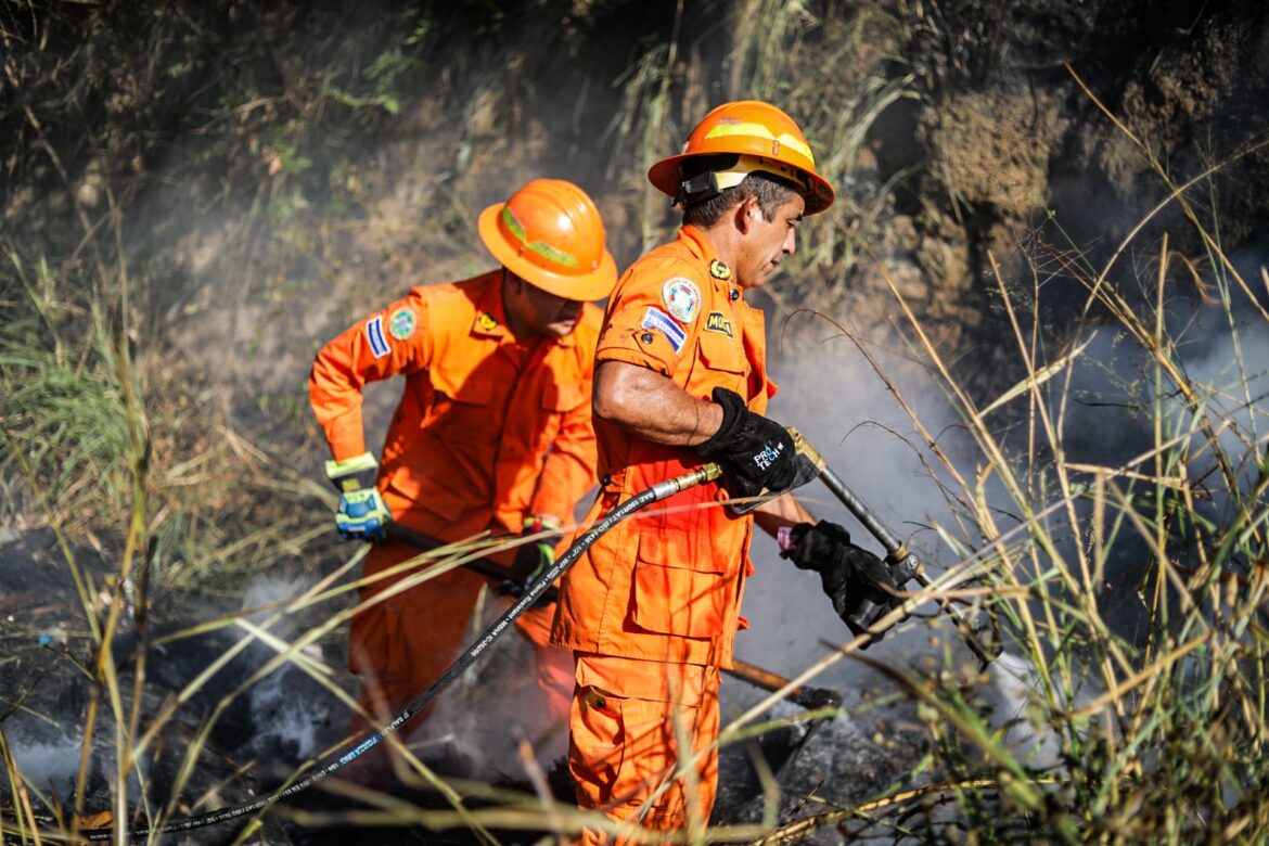 Al menos siete incendios se han registrado en las últimas horas, a nivel nacional, según Bomberos