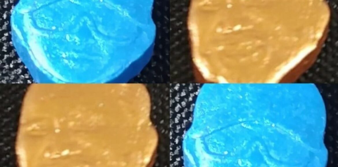 Decomisan «pastillas de éxtasis» con la cara del presidente Bukele en Mar del Plata, Argentina