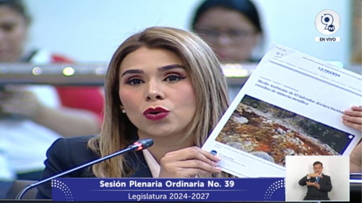 ARENA solicitó derogar la Ley de Minería Metálica porque es «altamente inconstitucional»