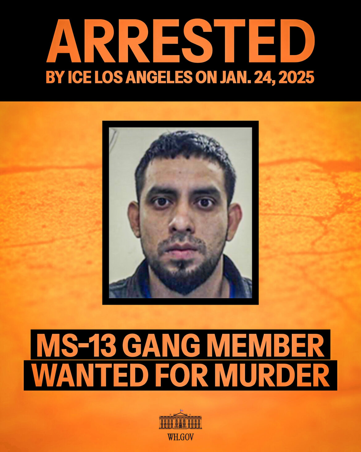 Pandillero de la MS-13 con difusión roja por homicidio agravado capturado por ICE en Los Ángeles
