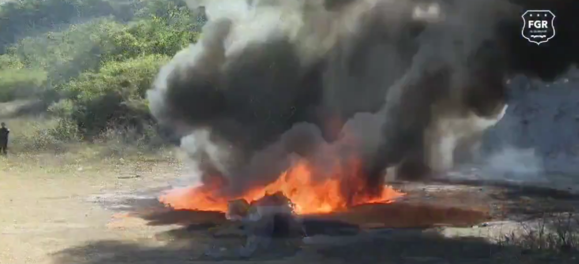 Destruyen droga valorada en más de $343 mil