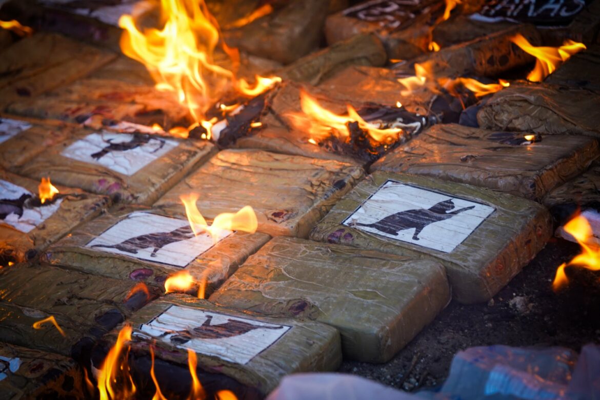 Destruyen droga valorada en más de $109 millones