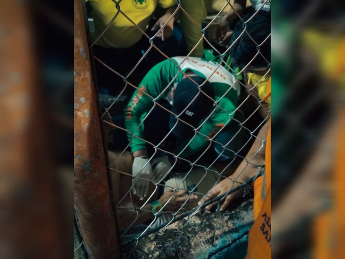Aficionado del Alianza cae de 2 metros de altura luego de subirse al enrejado del estadio