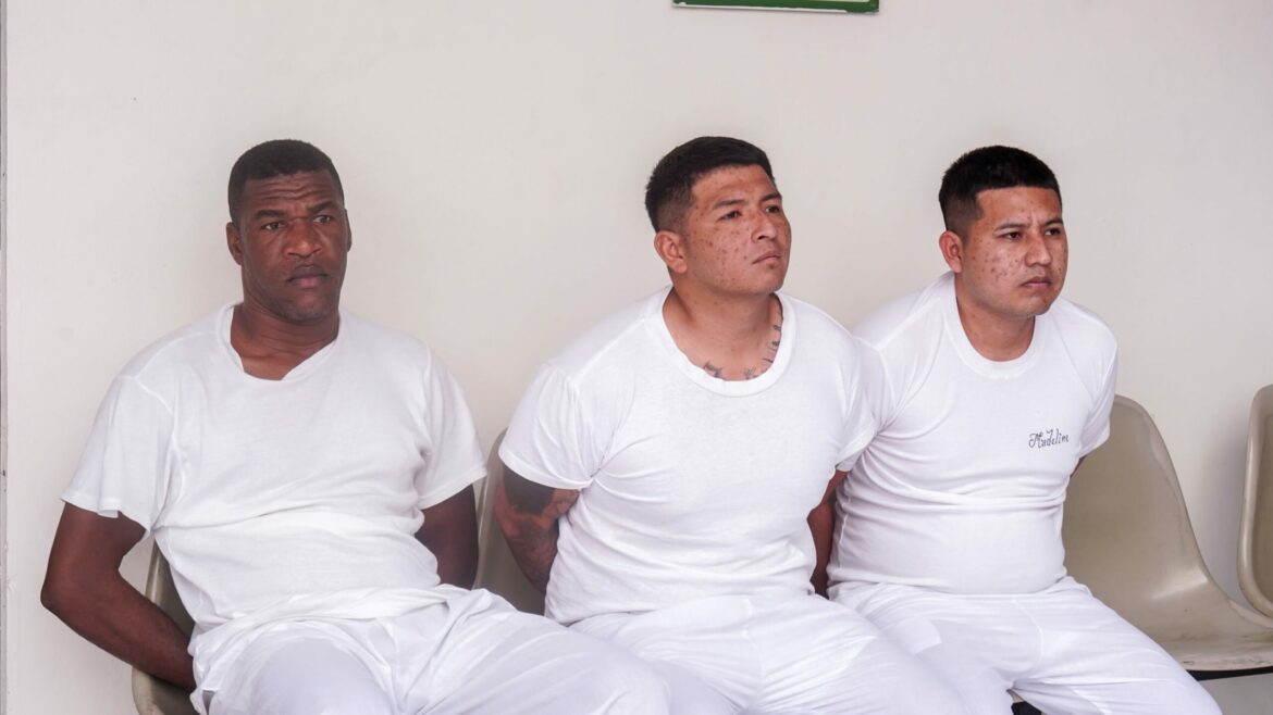 Envían a juicio a ecuatorianos y a colombiano procesados por el delito de tráfico ilícito