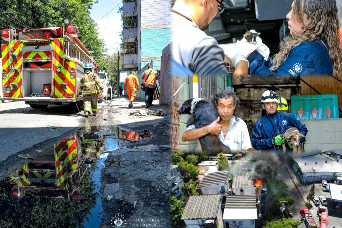 Socorristas y bomberos se convierten en los héroes de la jornada al controlar fuerte incendio y salvar vidas ciudadanas y animales
